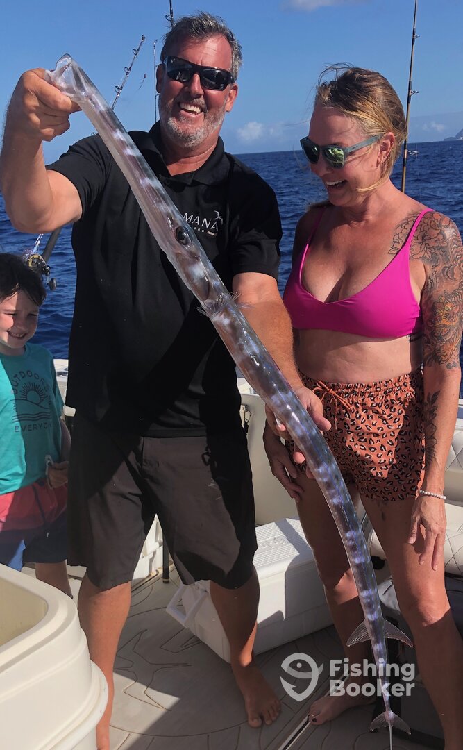 A Possible State RECORD!?! Cornet Fish off Ko Olina