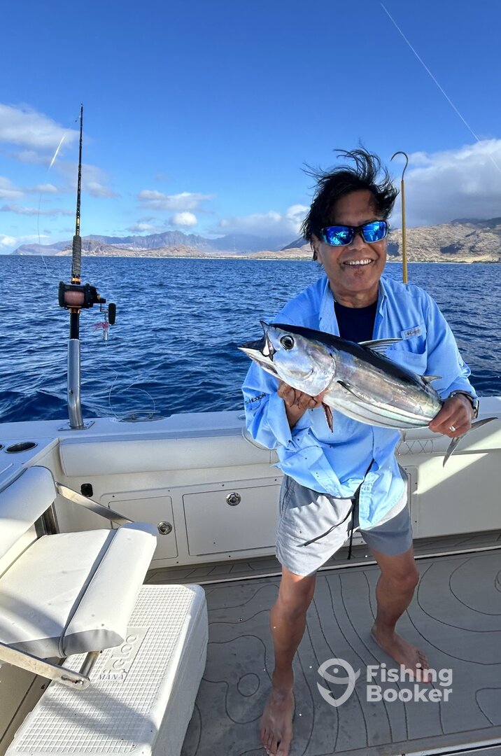 Aku are still Jumping! Skipjack Tuna off Ko Olina