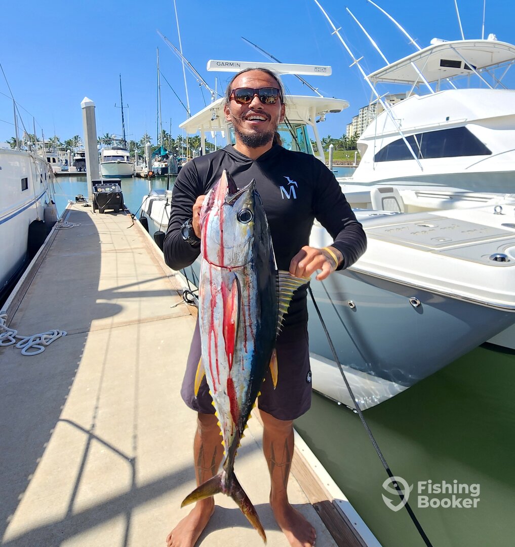 Snorkel and a Screeeeeeeamer! Yellowfin Tuna off Ko Olina