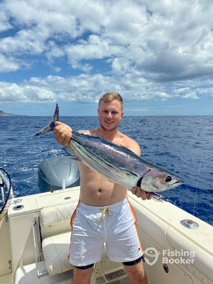 Double Double! Skip Jack, Bottom, Swim! Skipjack Tuna off Ko Olina