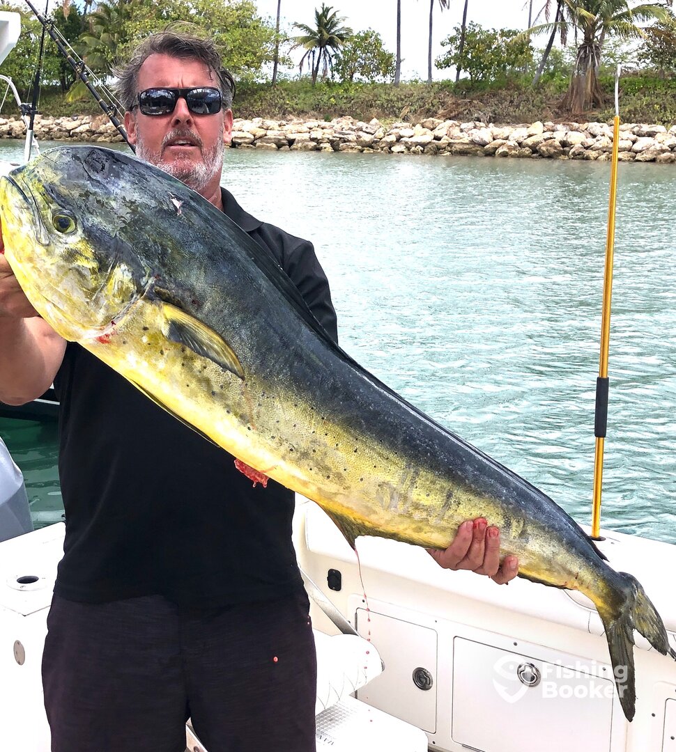 Holy Cow, Mahi! Ko Olina, Oahu