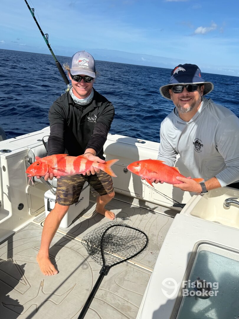 Some Deep Drop Beauties: Goatfish off Ko Olina