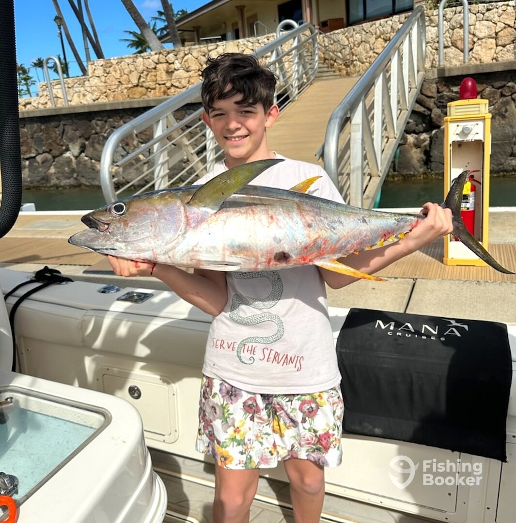 Spring Yellow Fin Are Biting: Ko Olina, Oahu