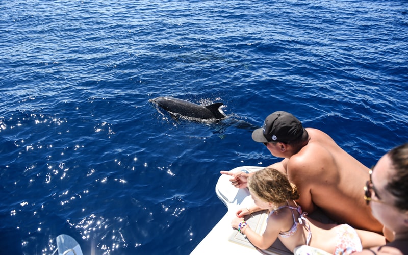 VENTURE Ko Olina Whale Watch and Snorkel photo 4