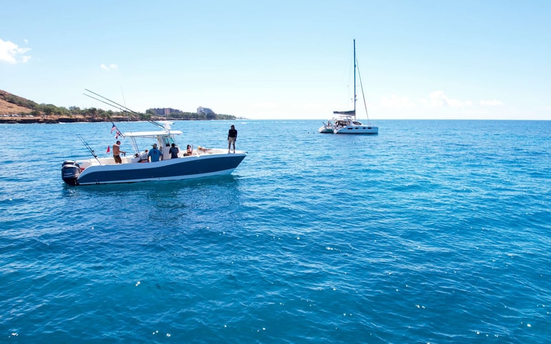 VENTURE Ko Olina Whale Watch and Snorkel photo 7