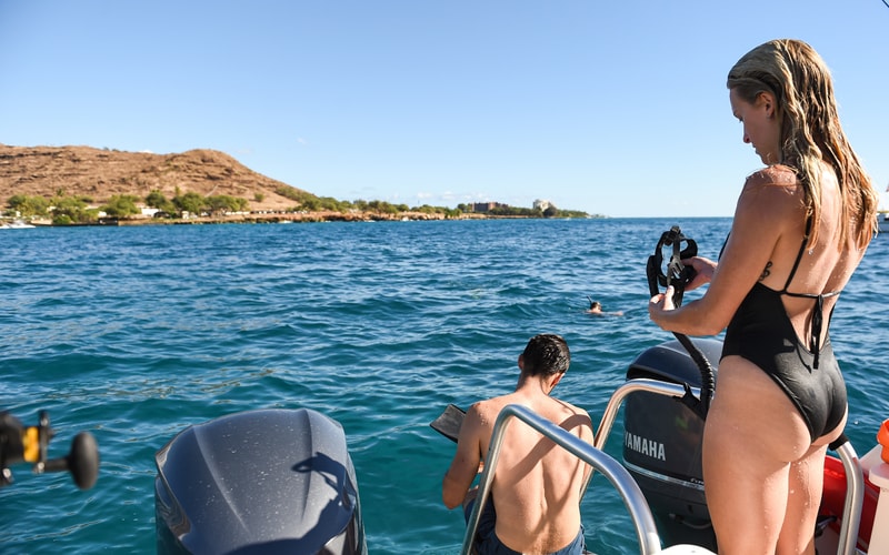 VENTURE Ko Olina Whale Watch and Snorkel photo 6